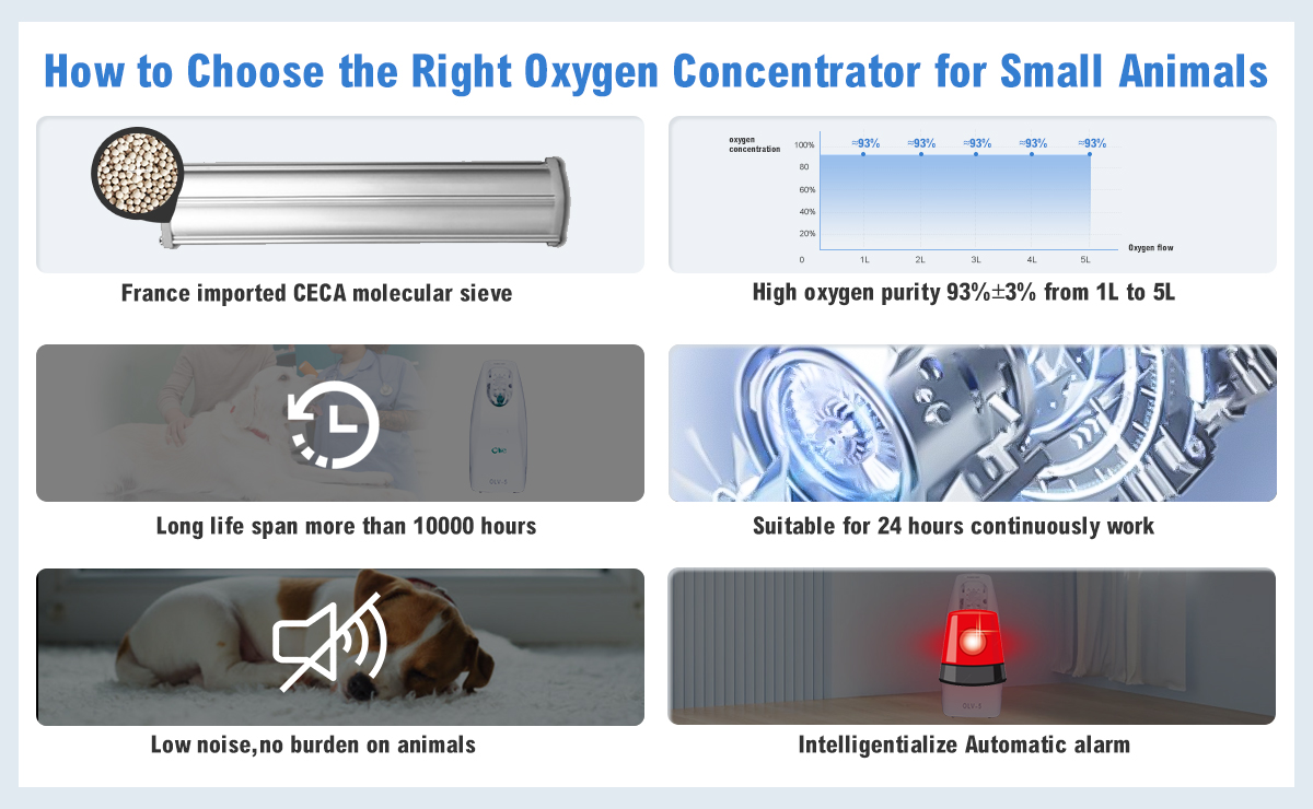 OLV-5 Cat Oxygen Concentrator For Connect the Anesthesia Machine