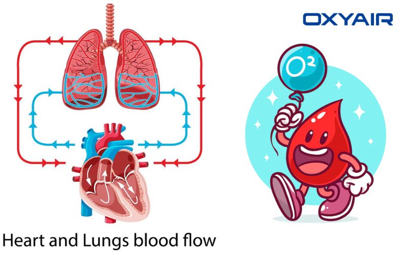 How to increase blood oxygen level