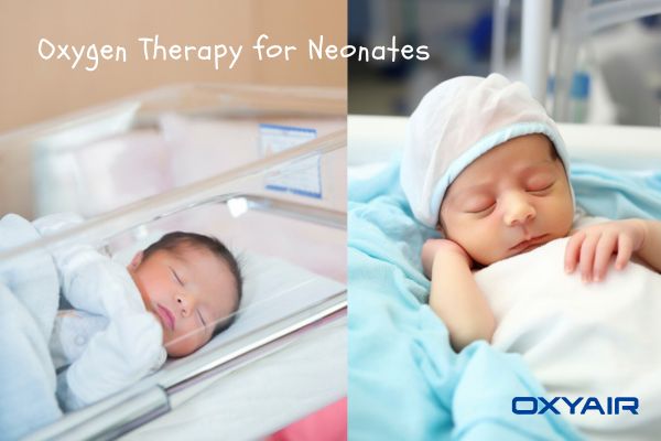 What Can High Oxygen Therapy Cause in Neonates