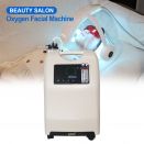 Professional Salon Spa Medical Oxygen Facial Beauty Machine